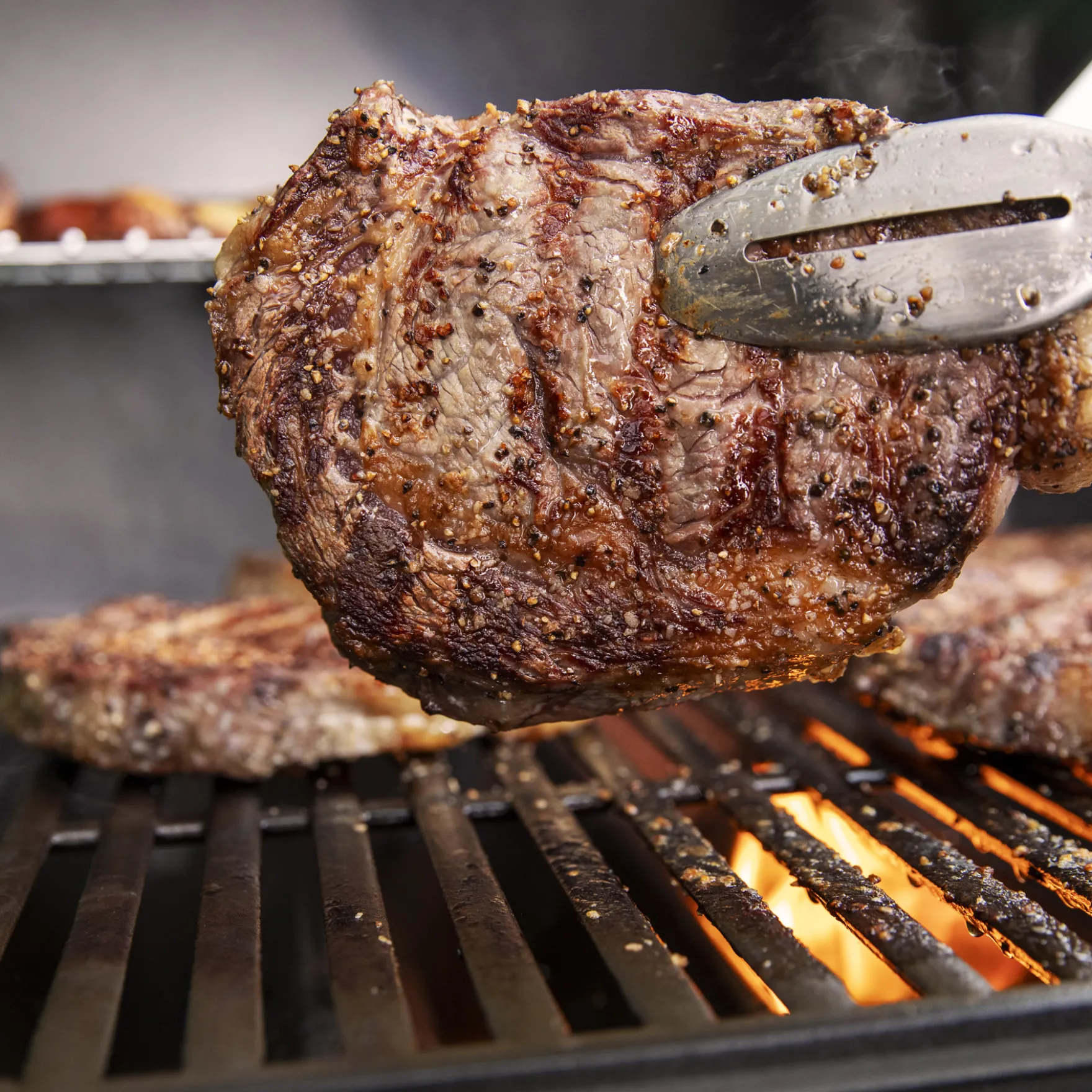 Genesis E-315 Gasgrill