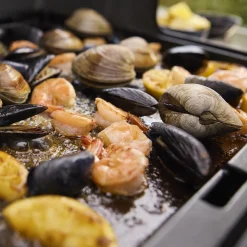 Genesis® EPX-435W smarter Gasgrill