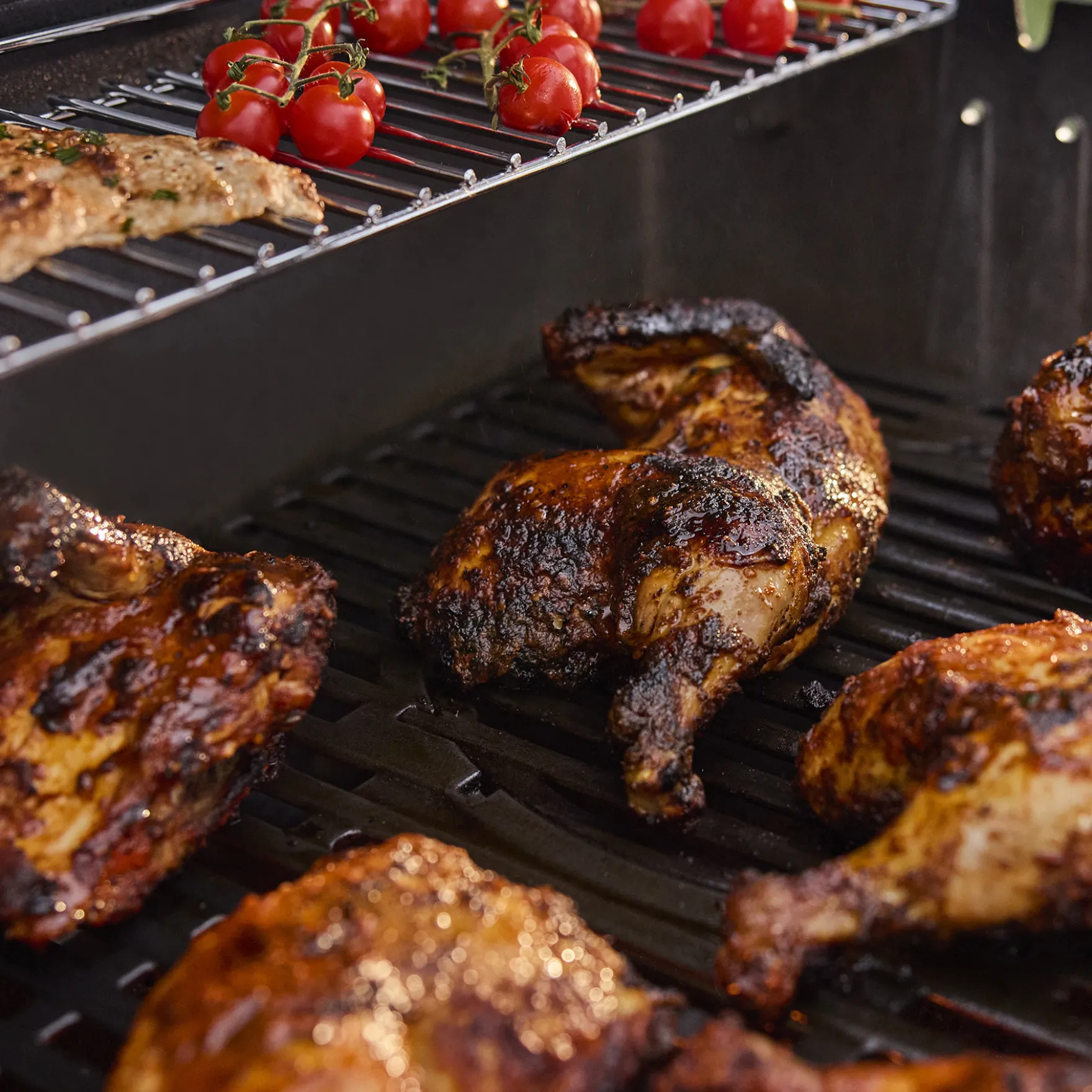 Genesis® E-435W Gasgrill