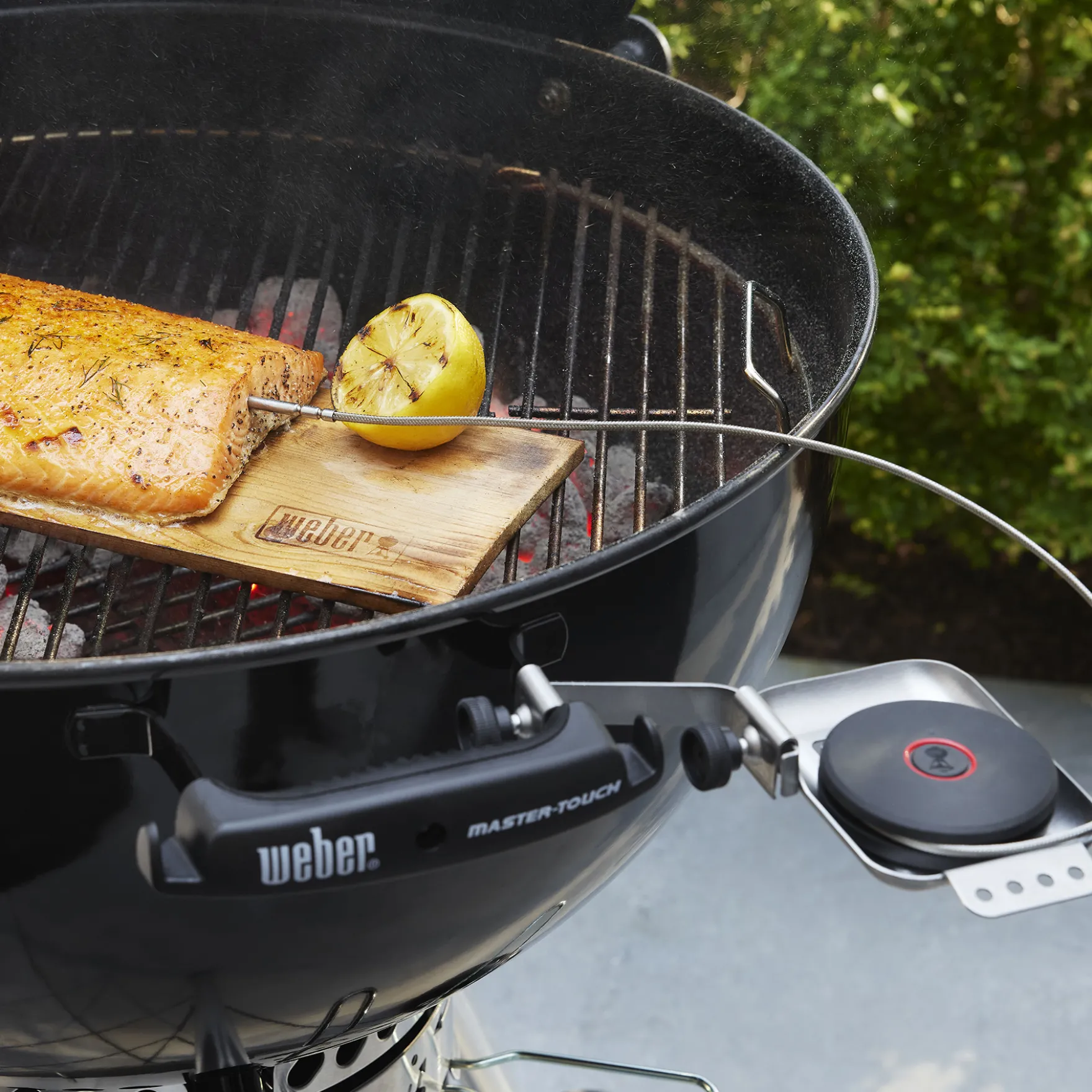 Intelligenter Temperaturfühler und Grillrostsensor