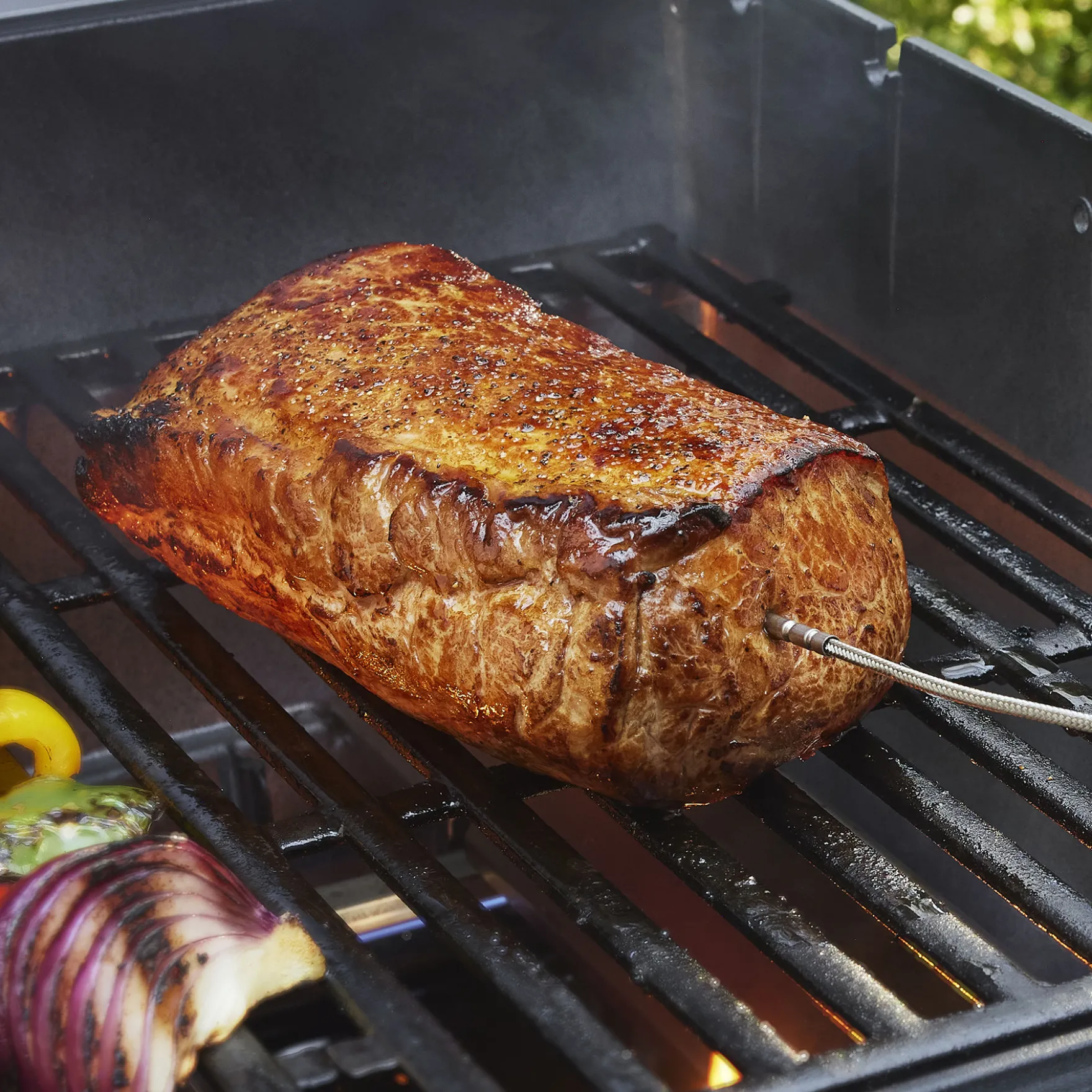 Intelligenter Temperaturfühler und Grillrostsensor