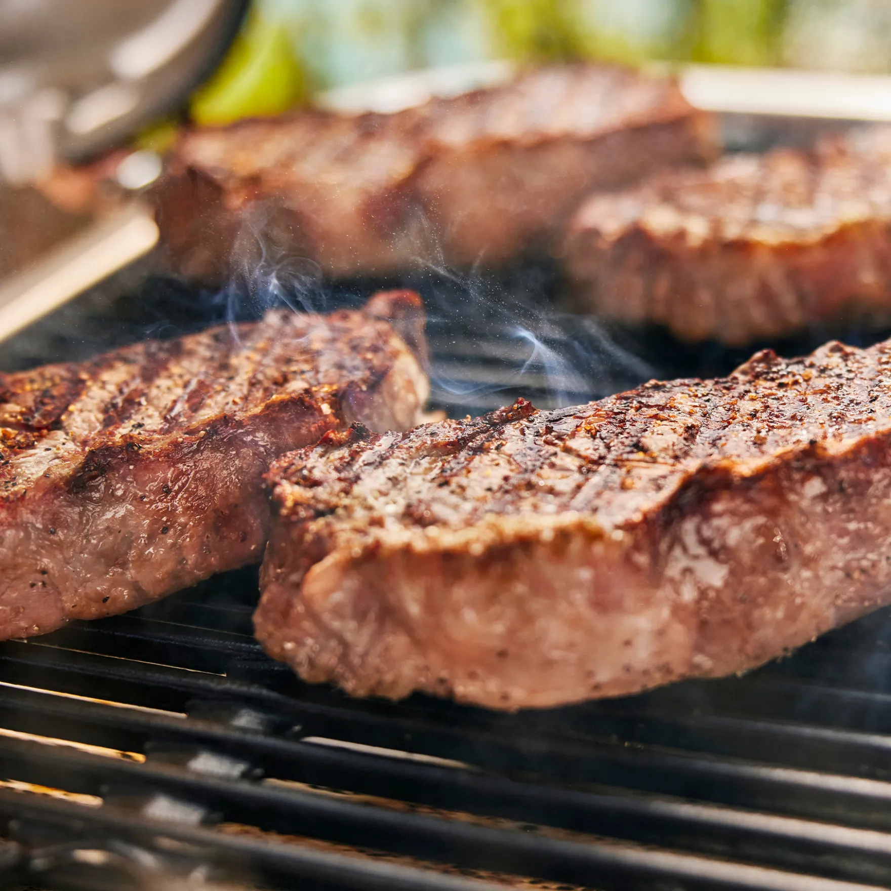 Lumin® Compact Outdoor-Elektrogrill mit Stand