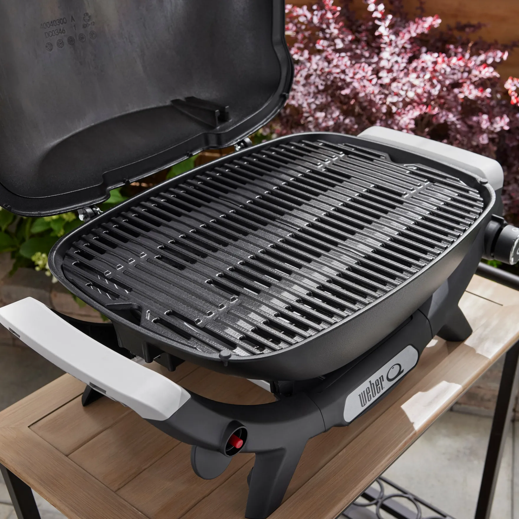 Q 2100N Gasgrill