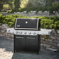 Summit FS38 E Gasgrill