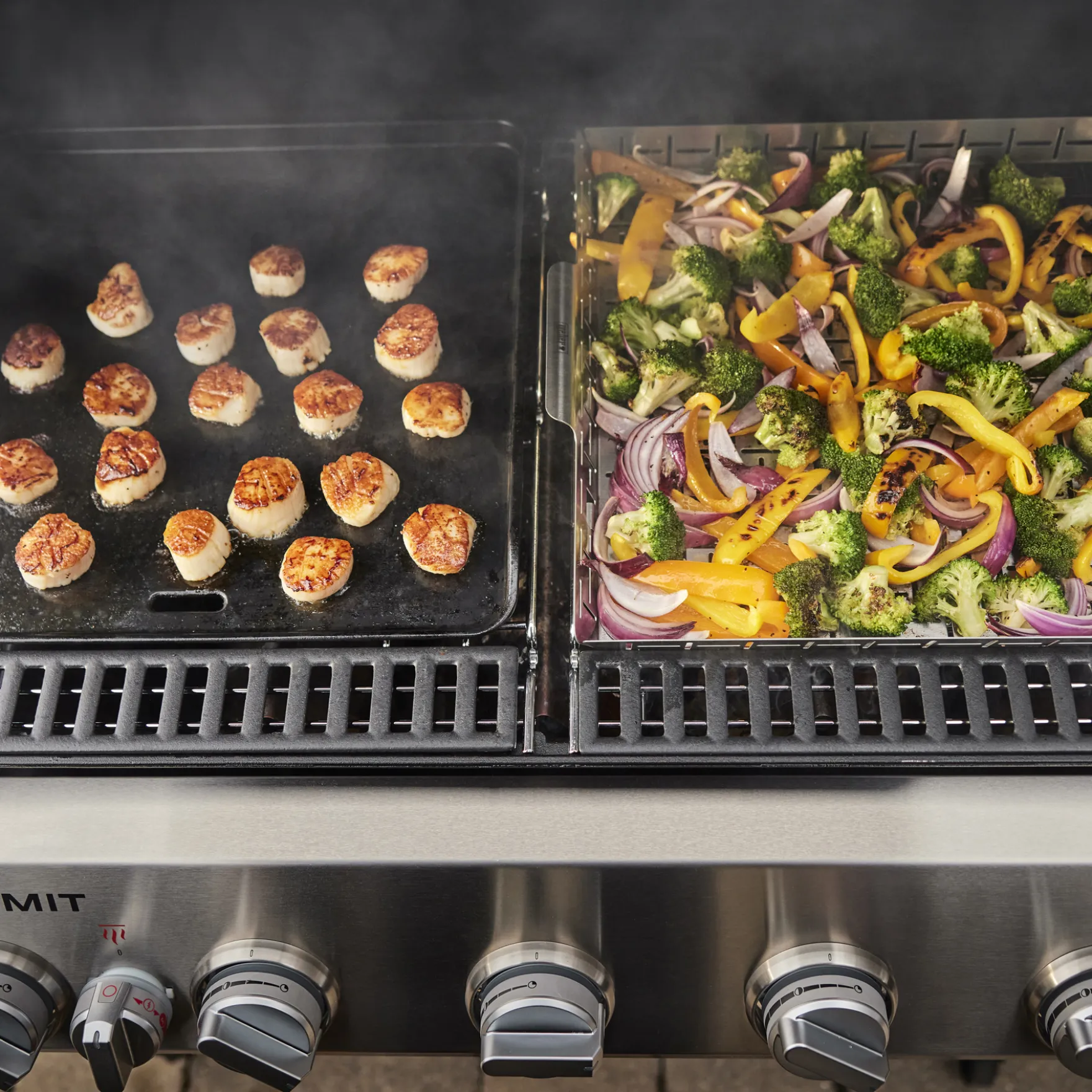Summit FS38 E Gasgrill