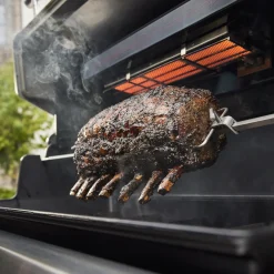 Summit FS38 E Gasgrill