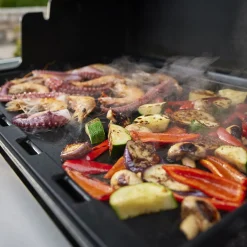 Summit FS38 S Gasgrill