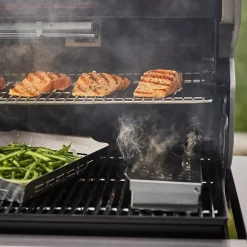 Summit FS38X S Smarter Gasgrill