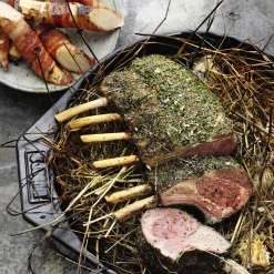 Weber's Gasgrillbibel